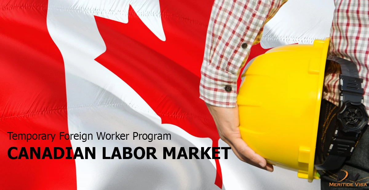 Reasons Why the Canadian Labor Market Depends on Immigrants for Improvement