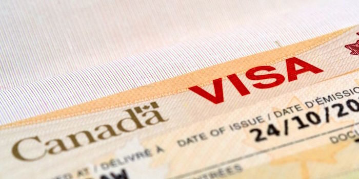 The Different Types of Work Visas Available in Canada - Which One is Right for You?